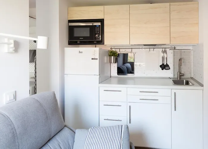 Charming Madrid Lofts